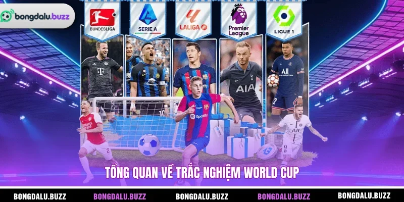 Tổng quan về trắc nghiệm World Cup